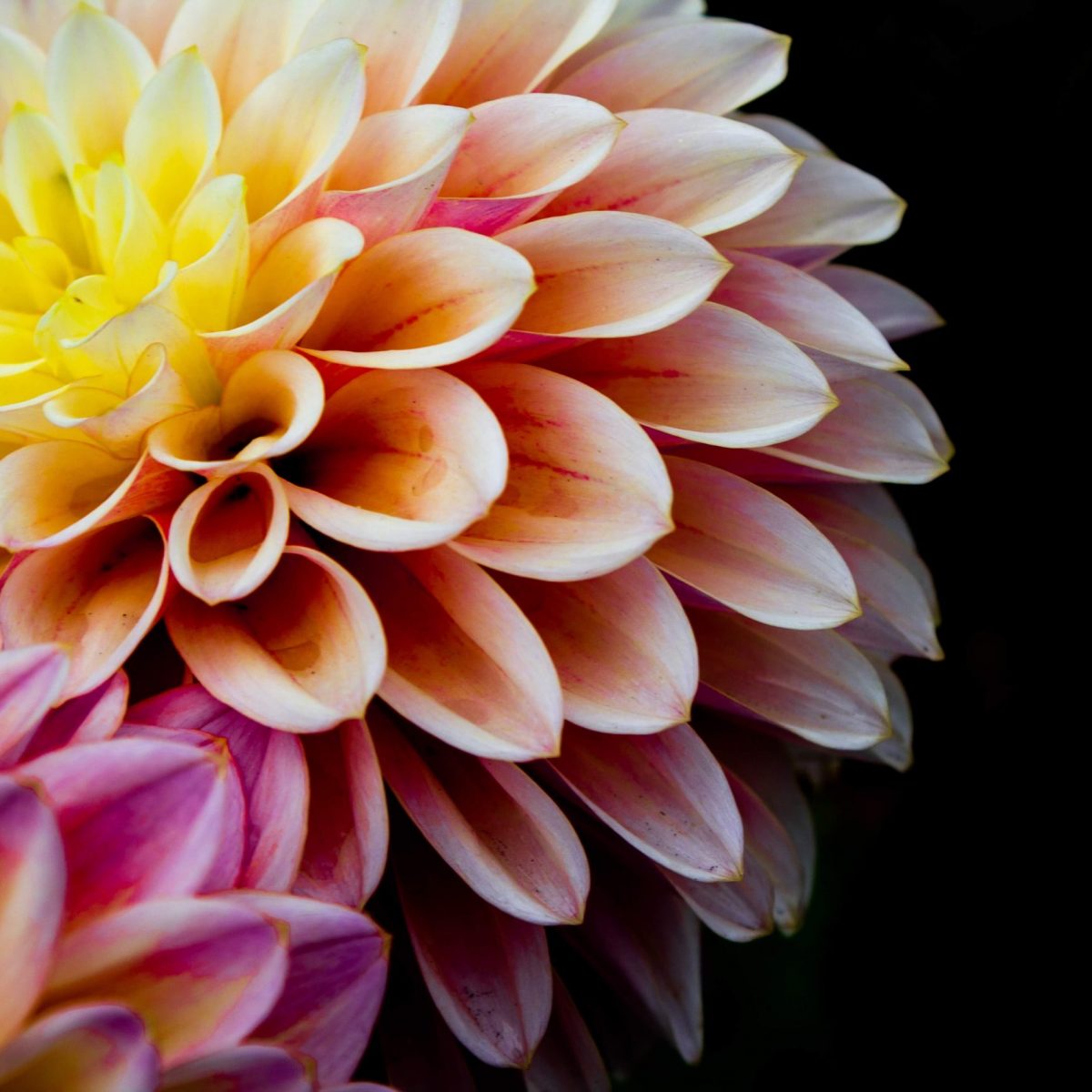 hunter-desmarais-hUc3HEtxl14-unsplash (1)